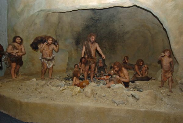 Museo di  Krapina Neanderthal
