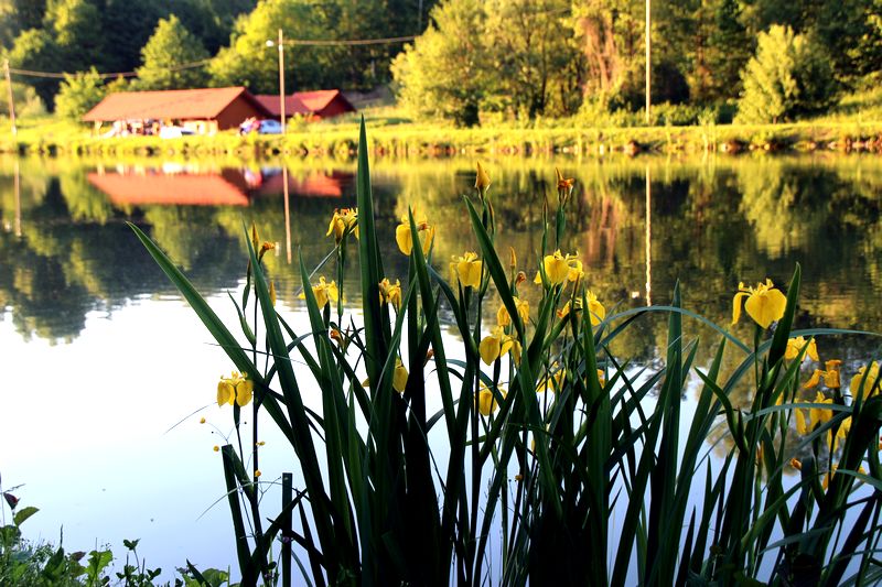 Lago sportivo ricreativo Jarki