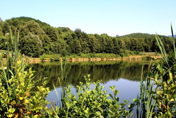 Jezioro sportowo-rekreacyjne Jarki