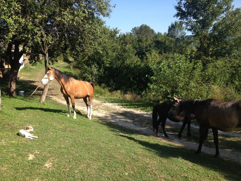 Equestrian Club Kumrovec