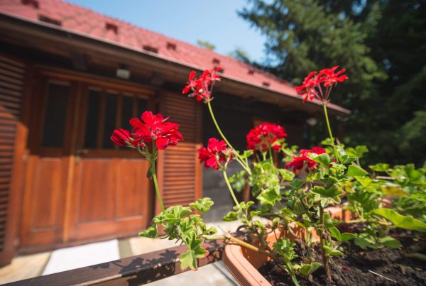 Wooden house Vukelić